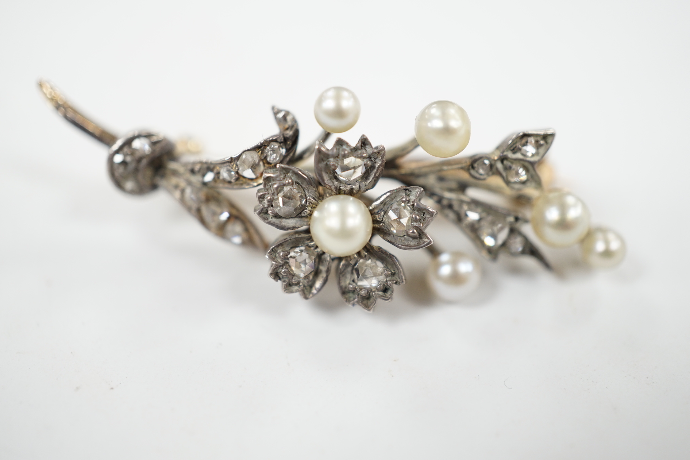 A cased Victorian yellow metal, seed pearl and rose cut diamond set foliate spray brooch, 39mm, gross weight 4.4 grams.